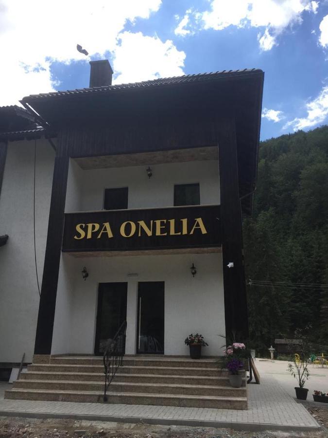 Pension Onelia Gîrda de Sus エクステリア 写真